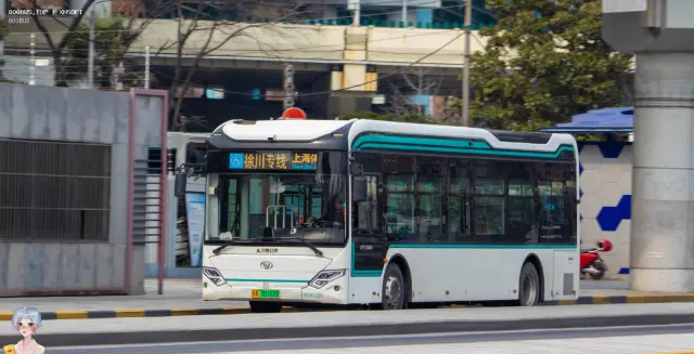 800BUS