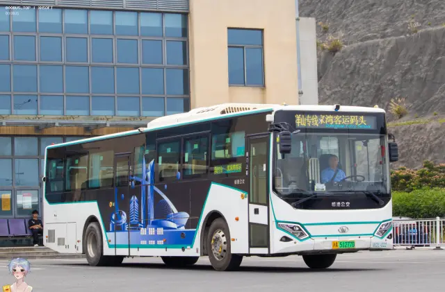 800BUS