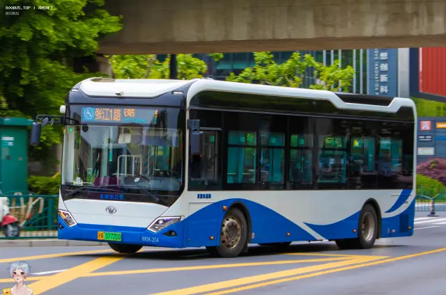 800BUS
