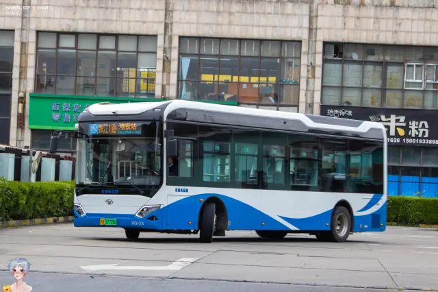 800BUS