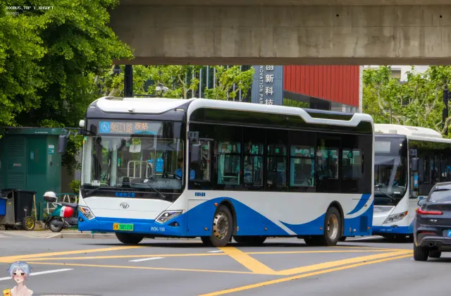 800BUS