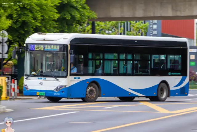 800BUS