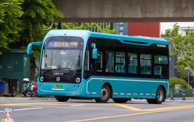 800BUS