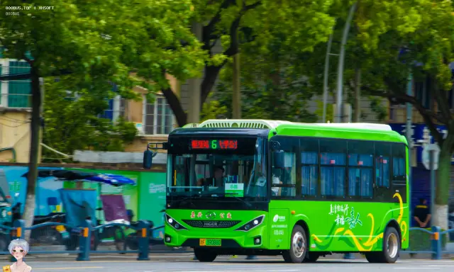 800BUS