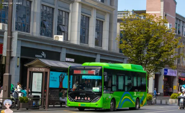 800BUS