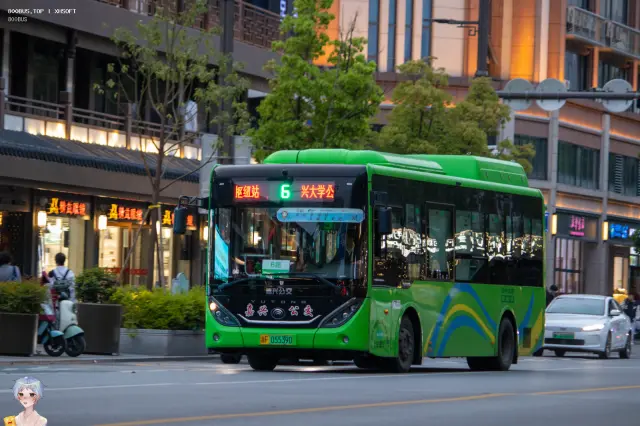 800BUS
