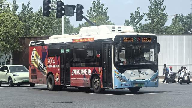 800BUS