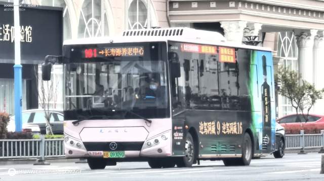 800BUS