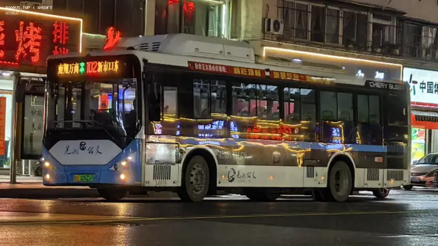 800BUS