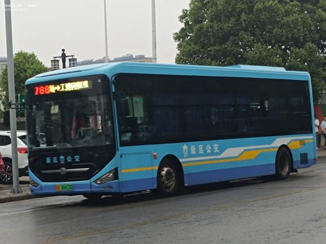 800BUS
