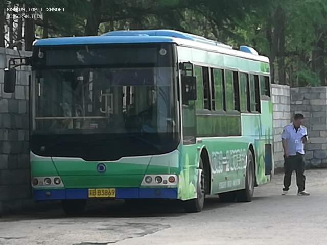 800BUS