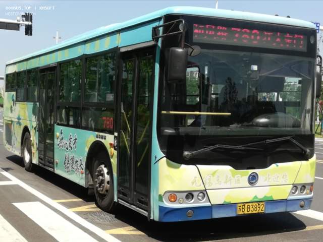 800BUS