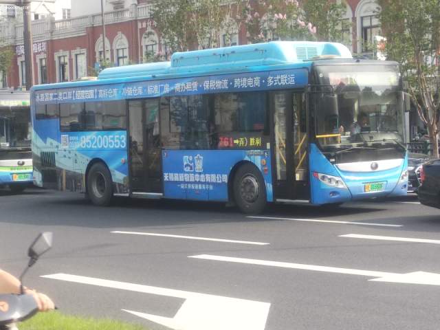 800BUS