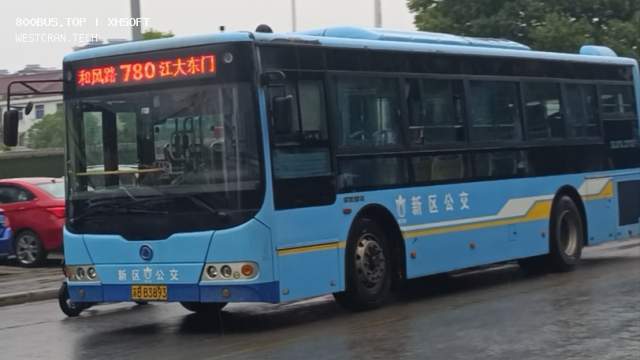800BUS