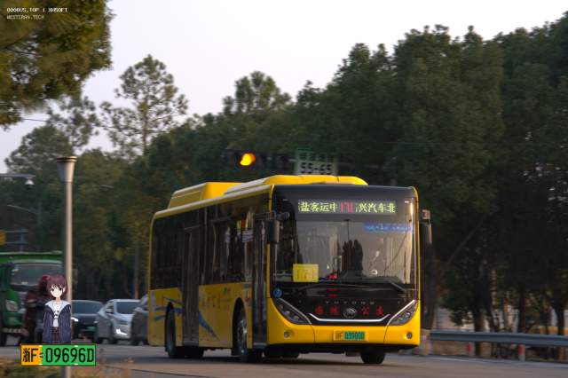 800BUS