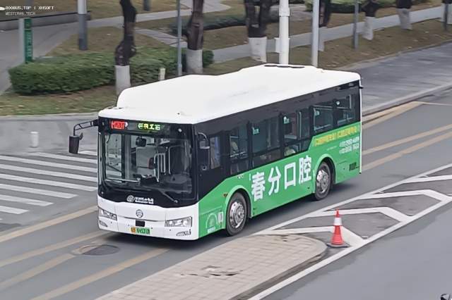800BUS