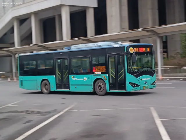 800BUS