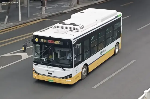 800BUS
