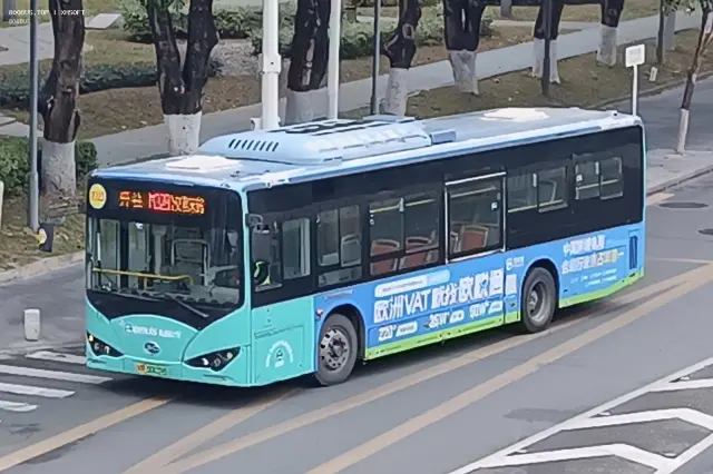 800BUS