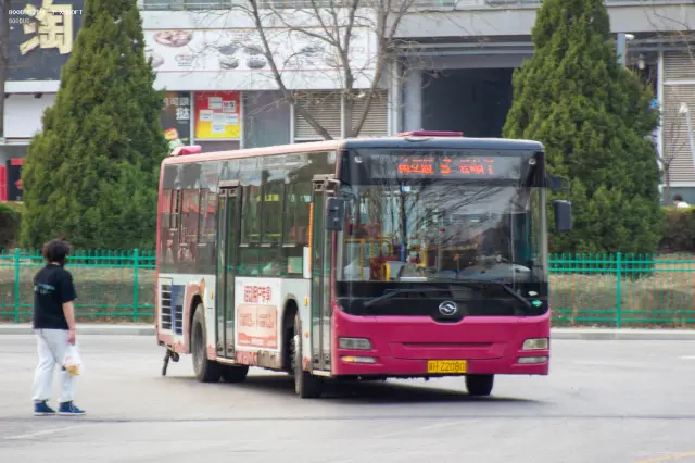 800BUS