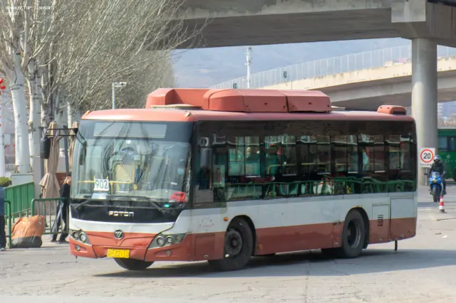 800BUS
