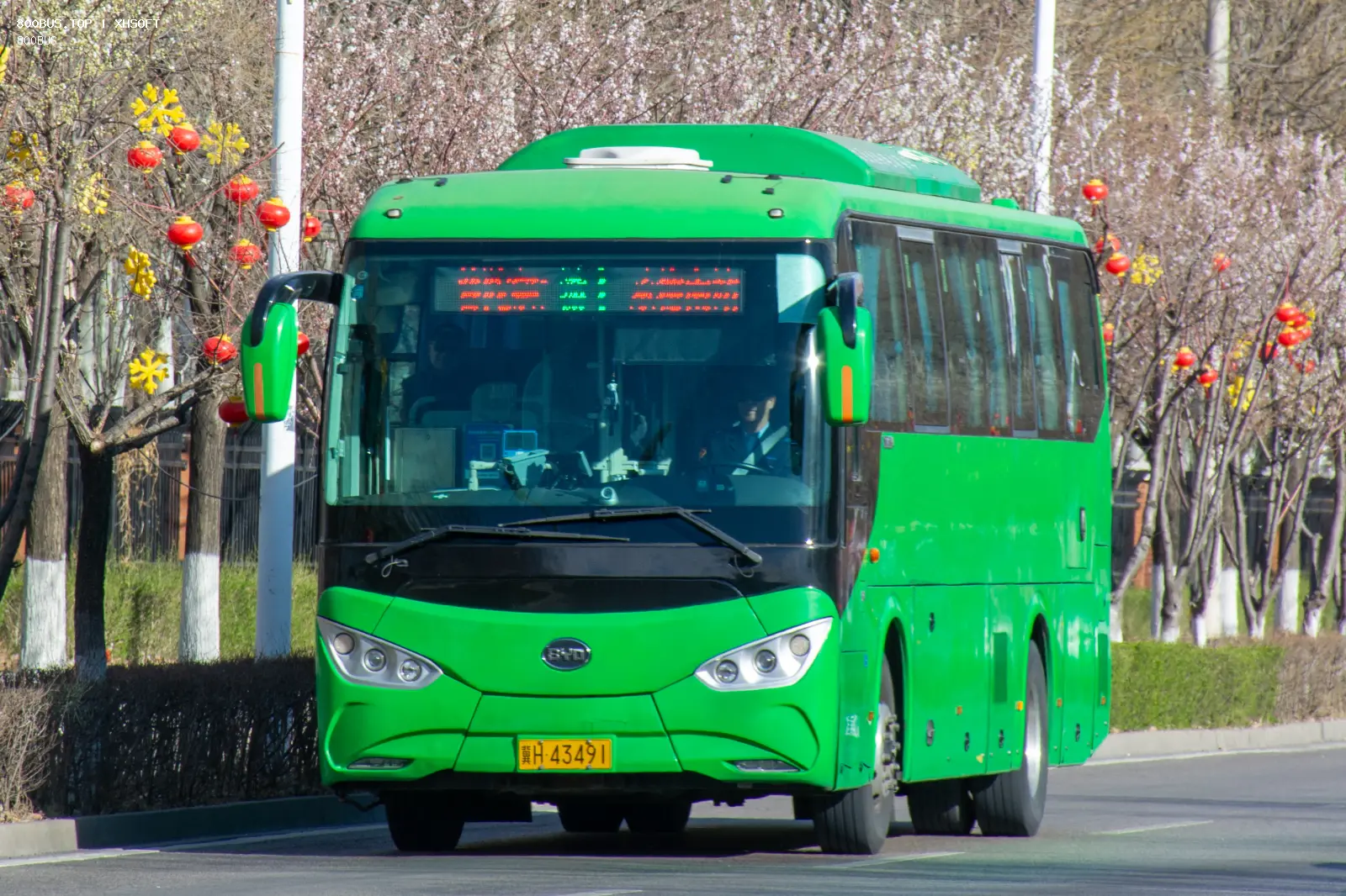 Bus Archive