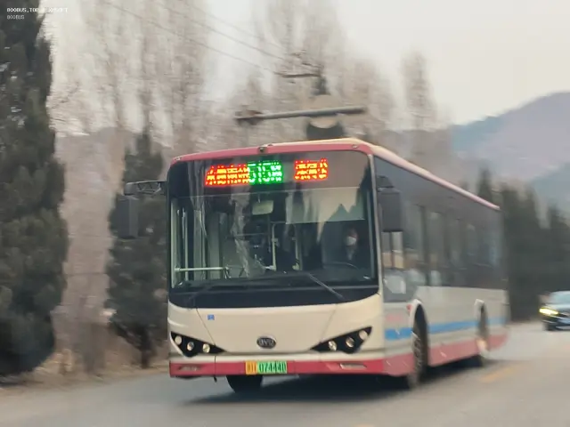 800BUS