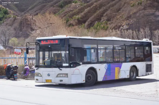 800BUS