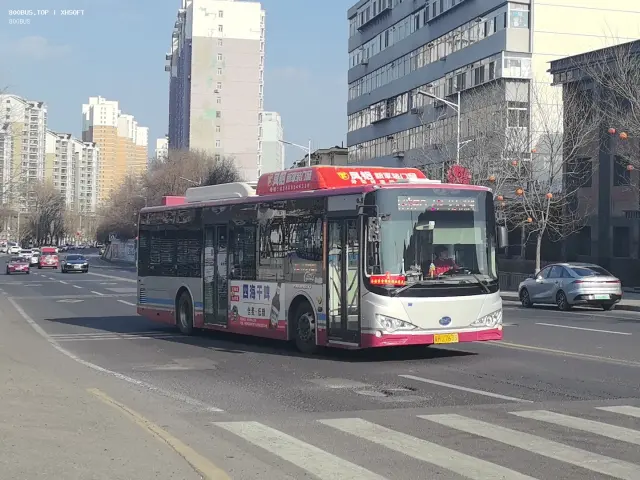 800BUS