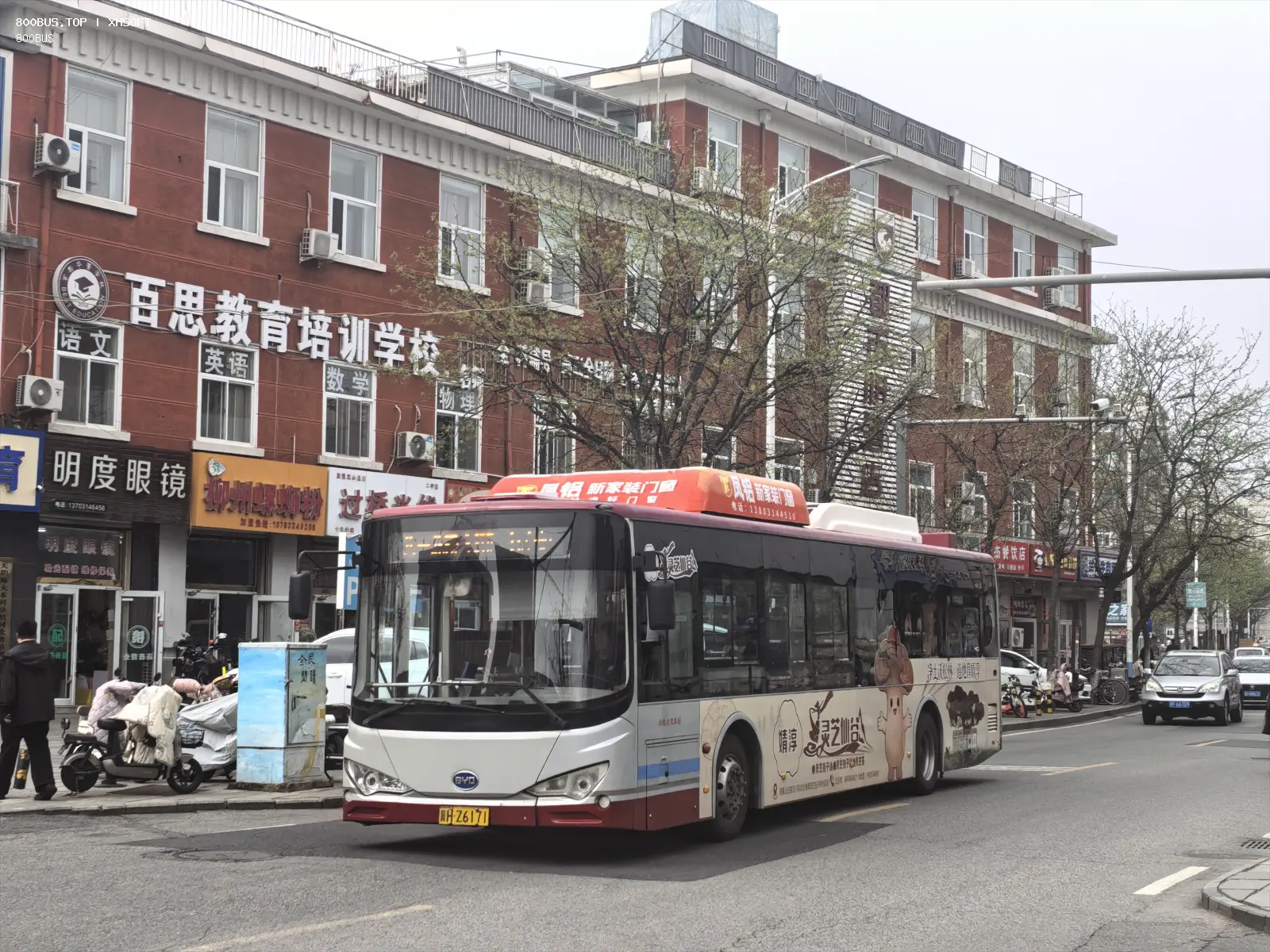 Bus Archive