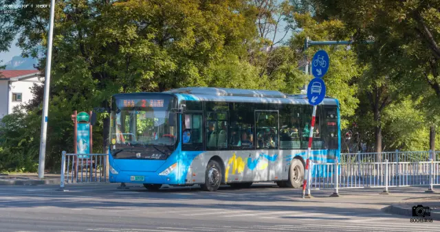 800BUS