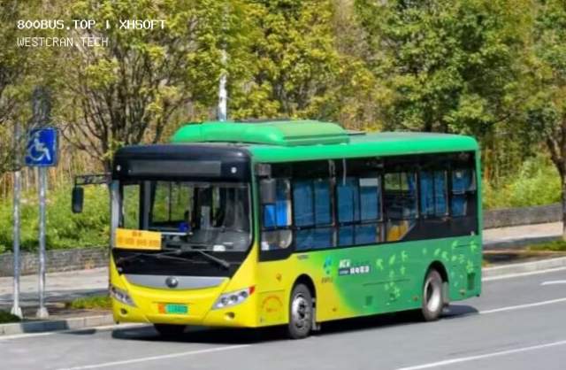 800BUS