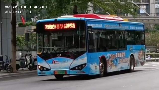 800BUS