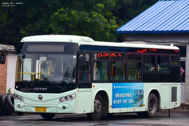 800BUS