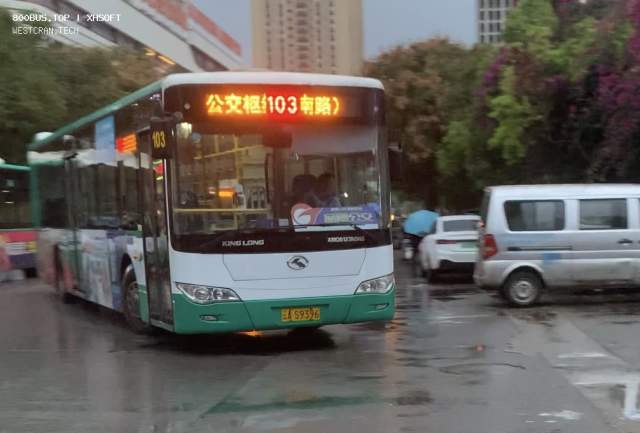 800BUS