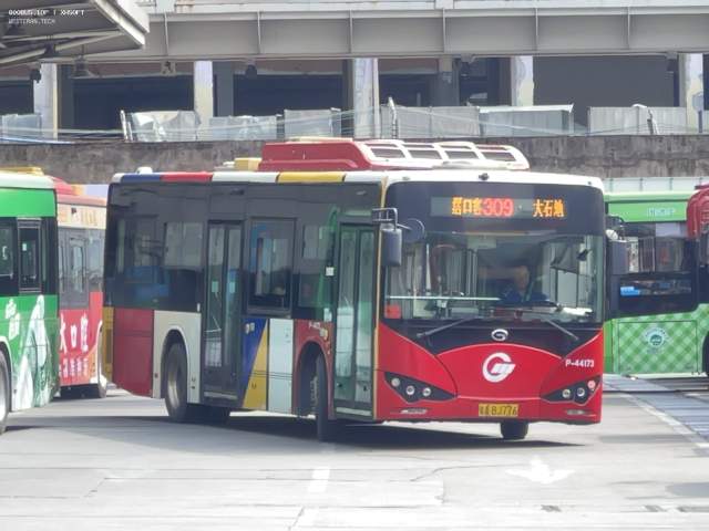 800BUS