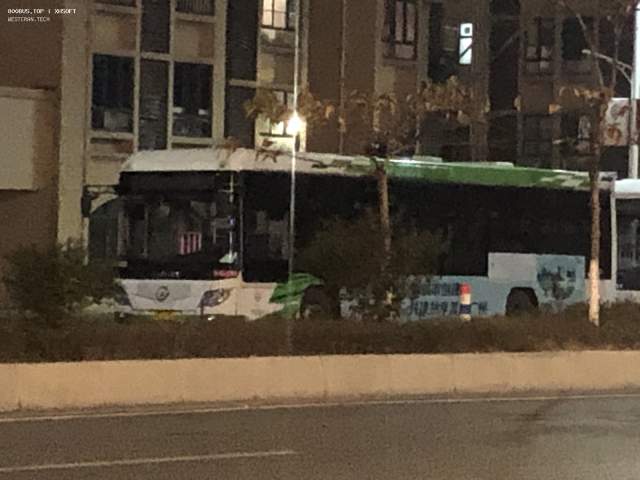 800BUS