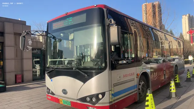 800BUS