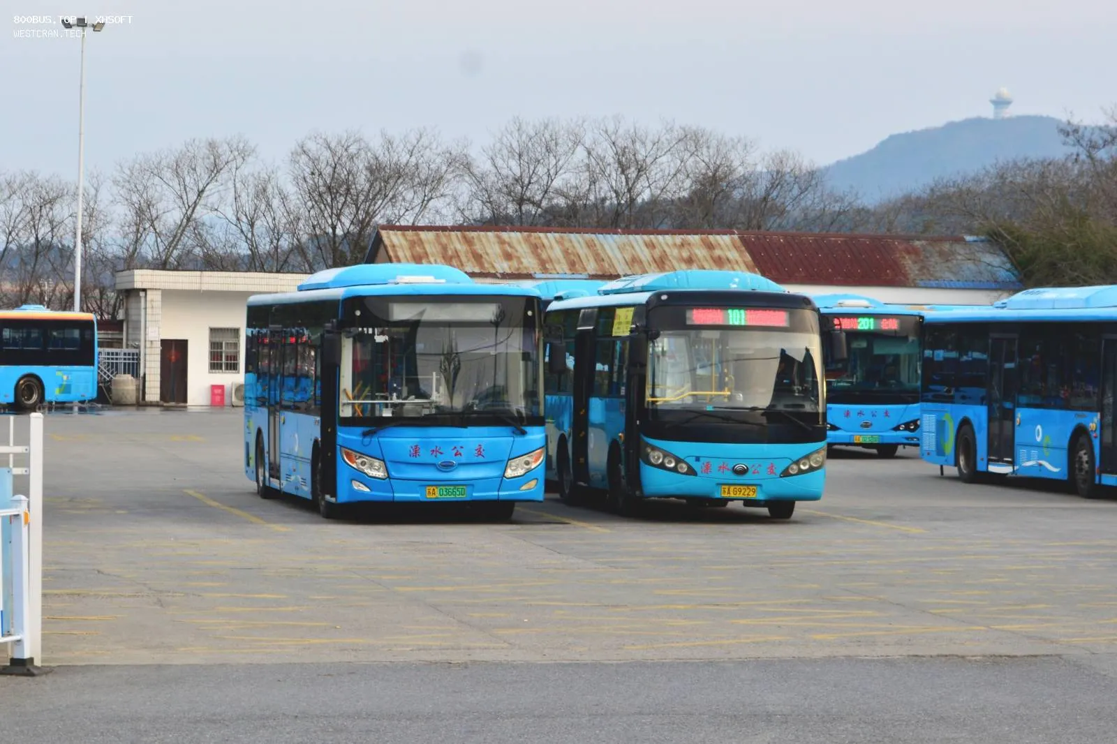 Bus Archive