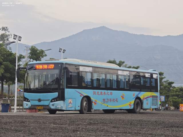 800BUS