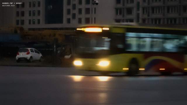 800BUS