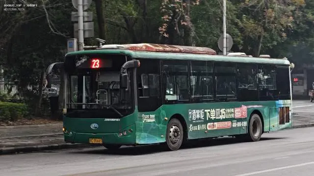 800BUS