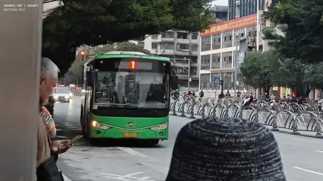 800BUS