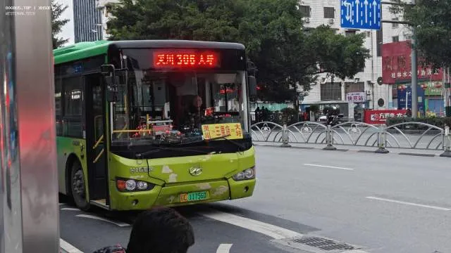 800BUS