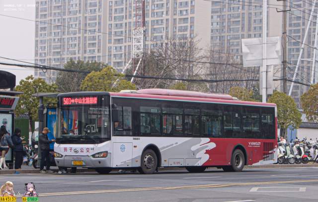 800BUS
