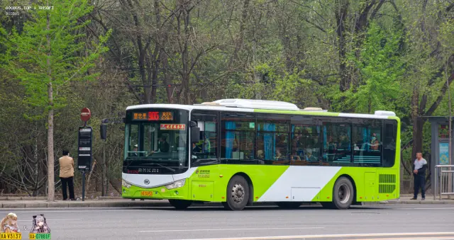 800BUS