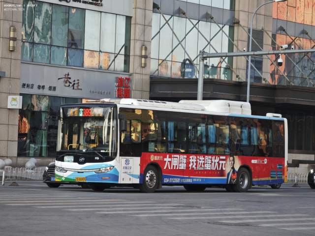800BUS