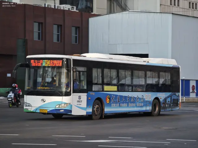 800BUS