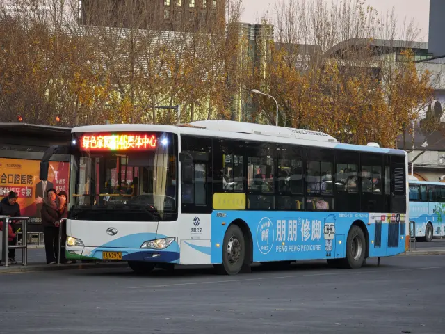 800BUS