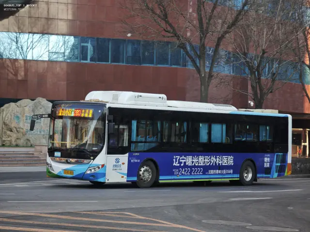 800BUS